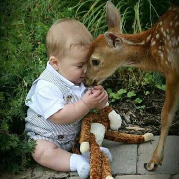 Huge Doggie or Kids Comfy Bed "CANNOT BE BUNDLED" - Picture 4 of 6